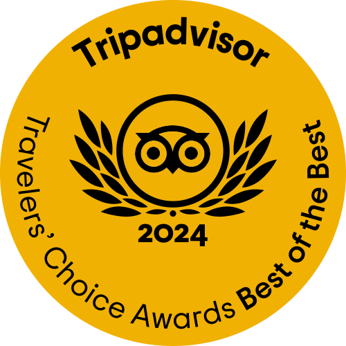 tripadvisor best 2024 tripadvisor best 2024
